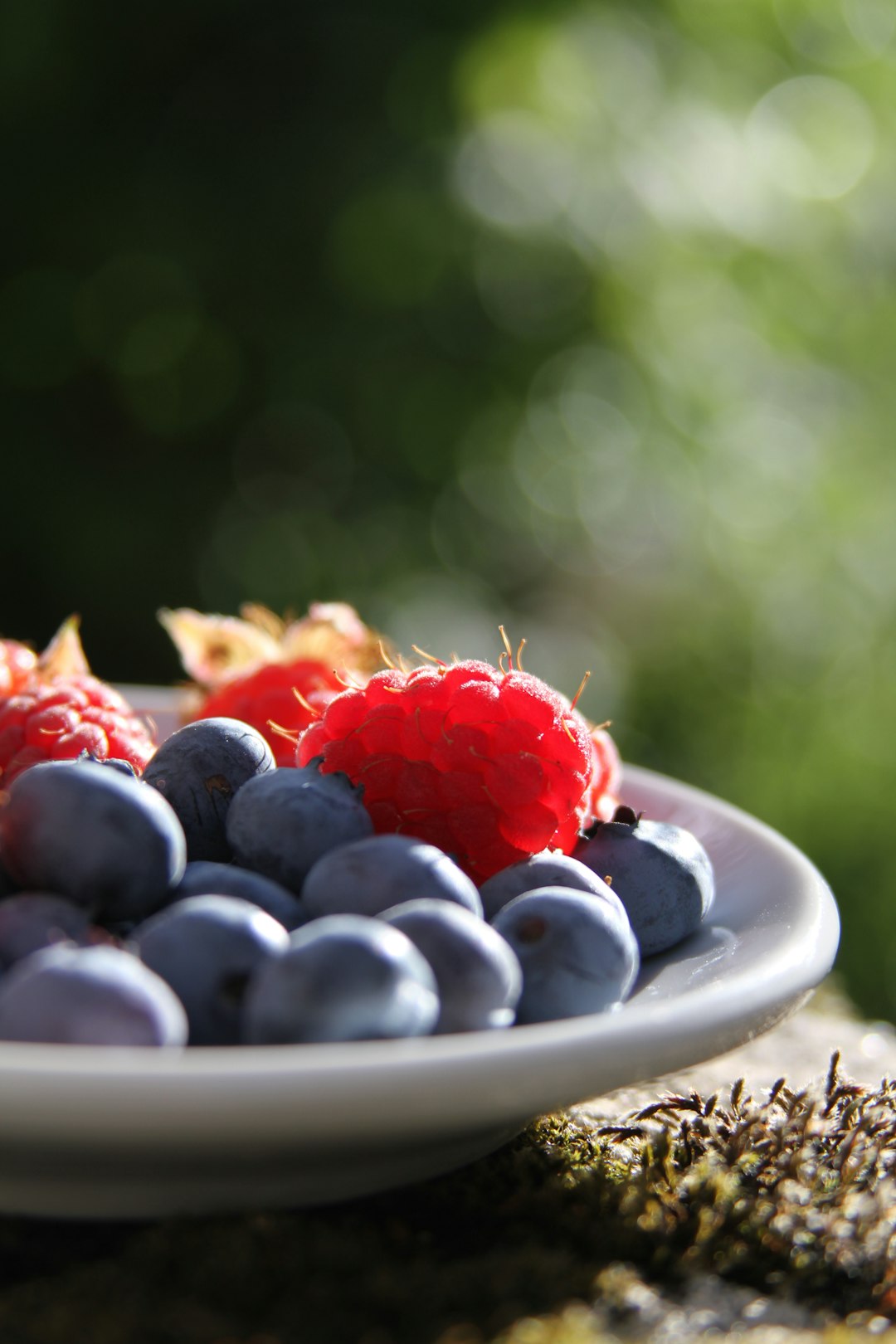 Revitalise Your Life: Superfoods for Sustainable Longevity