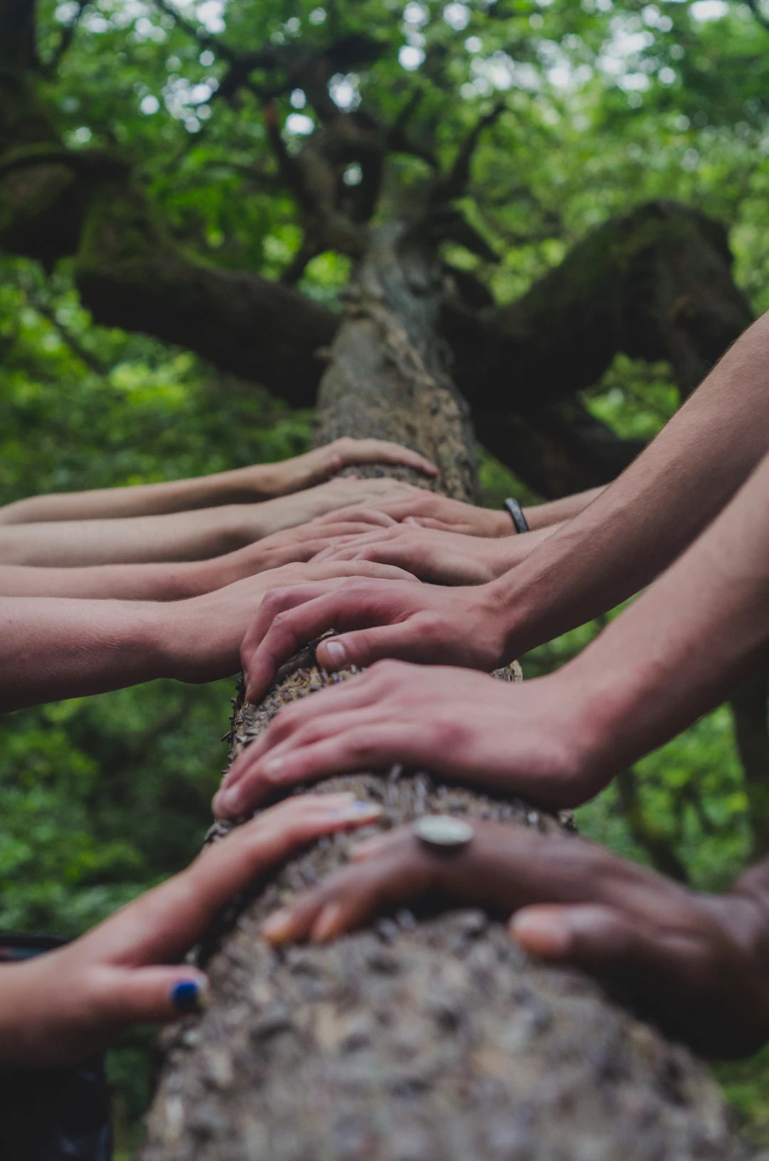 The Heart of Longevity Embracing Community