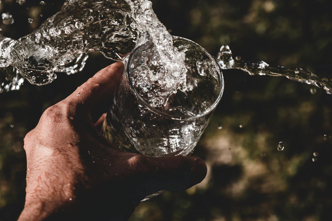 The Secret Elixir Hydration and Longevity