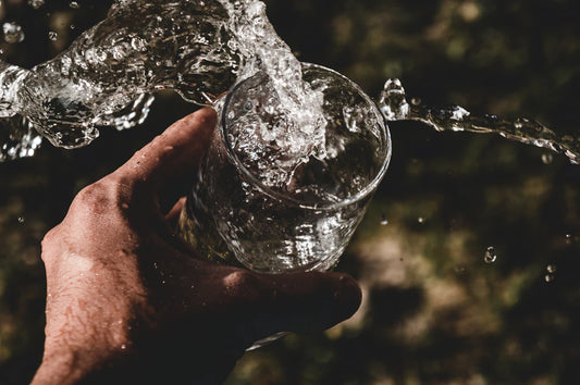 The Essential Role of Hydration in Healthy Aging