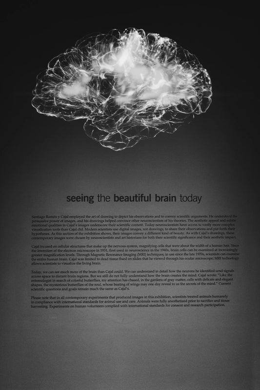 Mental Exercise Keep Your Mind Sharp as You Age