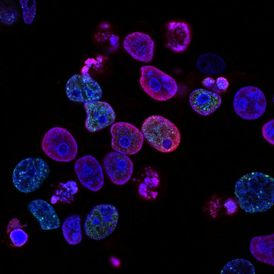 The Impact of Genetics on Life Expectancy: Unveiling the Secrets