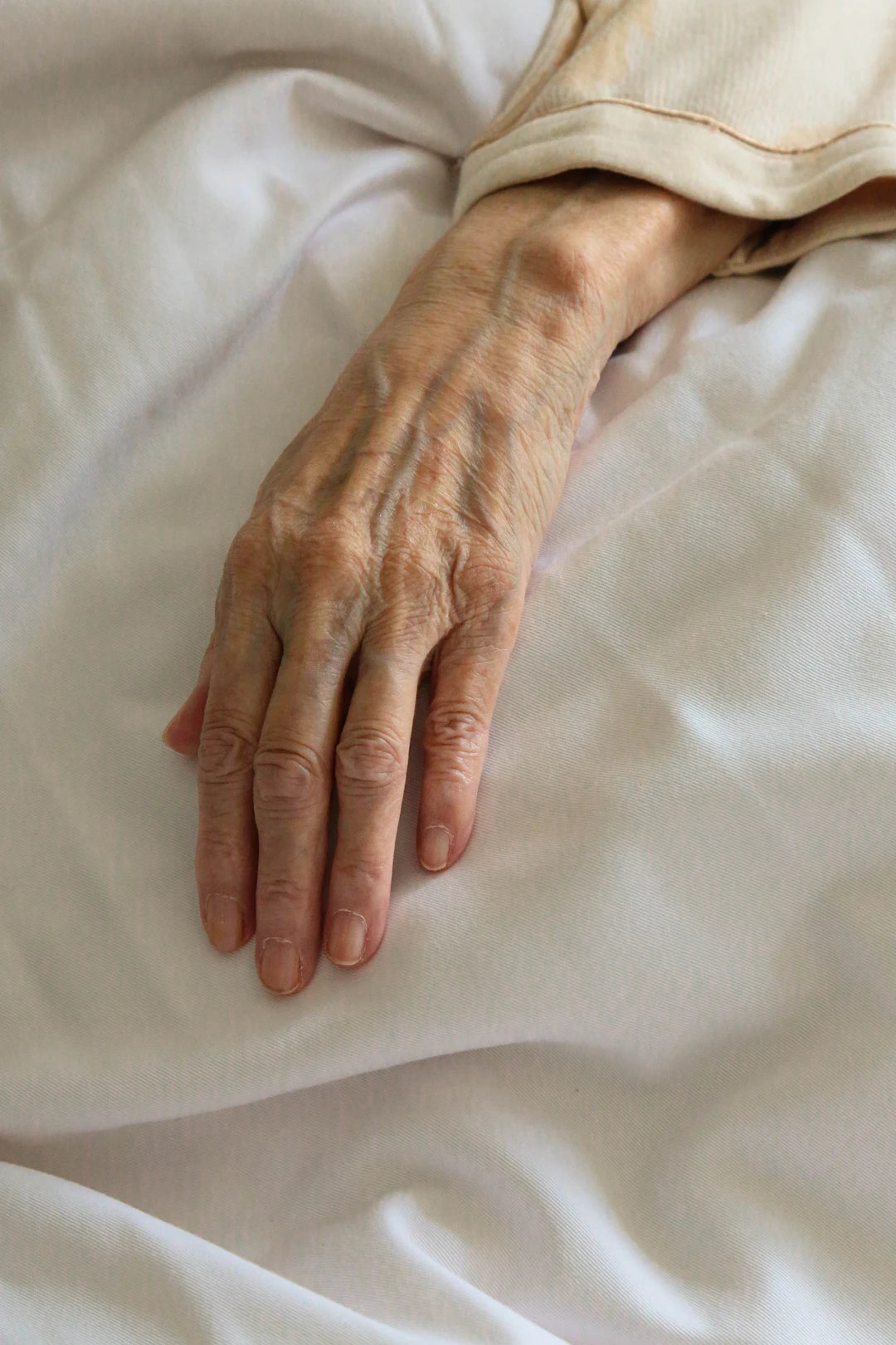 The Science Behind Ageing How Our Bodies Change