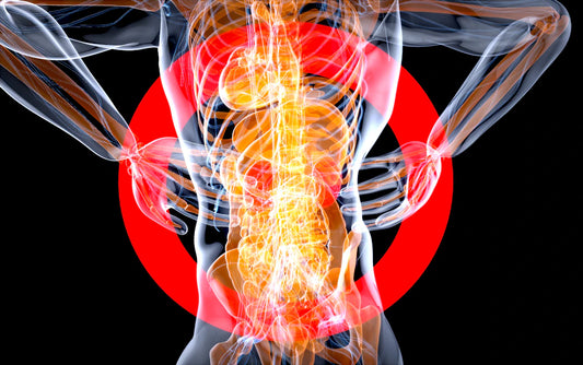 The Future of Longevity Science and Innovations