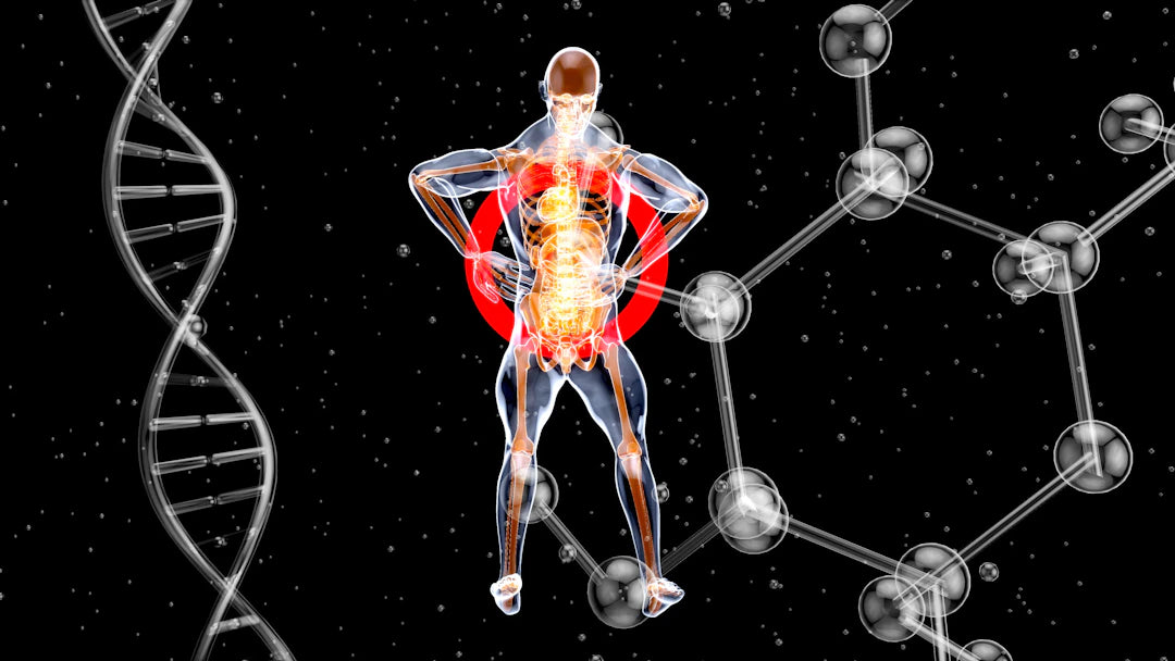 The Future of Longevity Research What Lies Ahead