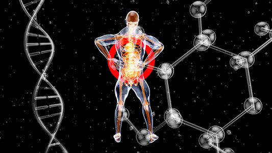The Future of Longevity Research What Lies Ahead