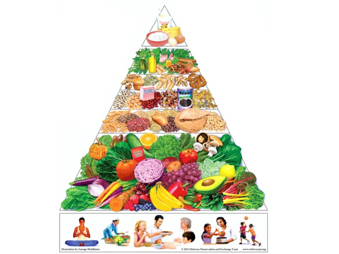 Explore Unique Longevity Diets from Around the Globe