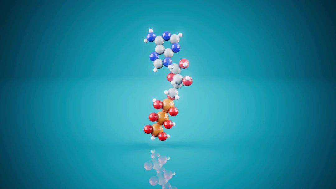 Unraveling Genetics The Key to Ageing Gracefully